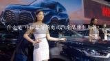 什么是 中国最好的电动汽车品牌有几种？