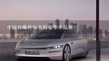 中国有哪些知名的豪华车品牌？