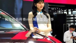 长安欧尚科赛cos1漏水怎么回事