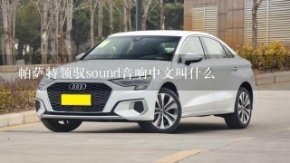 帕萨特领驭sound音响中文叫什么