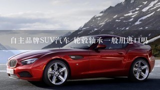 自主品牌SUV汽车 轮毂轴承1般用进口吗