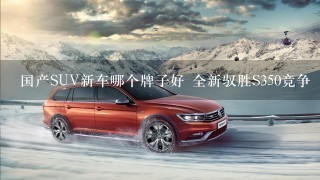 国产SUV新车哪个牌子好 全新驭胜S350竞争