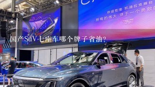 国产SuV7座车哪个牌子省油？