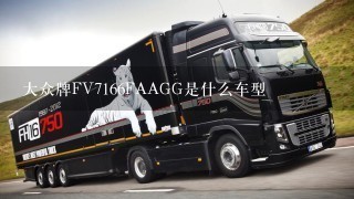 大众牌FV7166FAAGG是什么车型