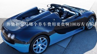 奔驰和宝马哪个养车费用更贵啊100万左右的价位的车