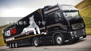 自主两厢车 哪1个好