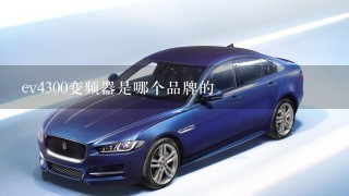 ev4300变频器是哪个品牌的