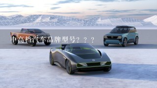 中高档汽车品牌型号？？？