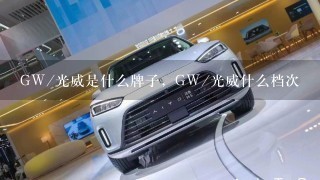 GW/光威是什么牌子，GW/光威什么档次