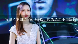 特斯拉下调Model 3价格，因为采用中国制造带有CATL