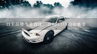 自主品牌今非昔比，吉利ICON的初感受