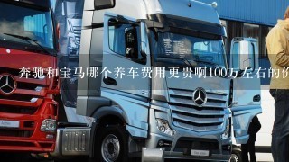 奔驰和宝马哪个养车费用更贵啊100万左右的价位的车