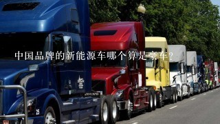 中国品牌的新能源车哪个算是豪车？