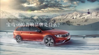 宝马x6的音响品牌是什么？