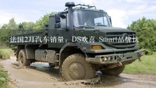 法国2月汽车销量：DS欢喜 Smart品牌忧