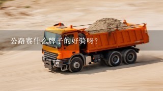 公路赛什么牌子的好骑呀？