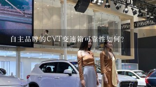 自主品牌的CVT变速箱可靠性如何？