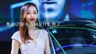 奥迪Q5原车音响是什么牌子