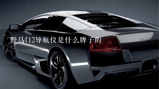 野马f12导航仪是什么牌子的