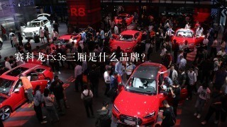 赛科龙rx3s3厢是什么品牌？