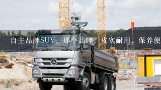 自主品牌SUV、那个品牌，皮实耐用，保养便宜、油耗低。给推荐1下。