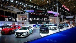 国产新能源汽车哪个牌子好suv