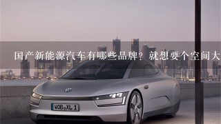 国产新能源汽车有哪些品牌？就想要个空间大的SUV