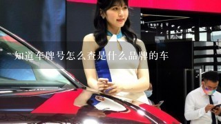 知道车牌号怎么查是什么品牌的车