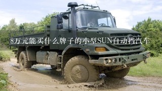 8万元能买什么牌子的小型SUN自动挡汽车