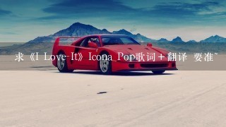 求《I Love It》Icona Pop歌词＋翻译 要准~