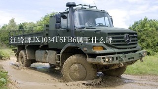 江铃牌JX1034TSFB6属于什么牌