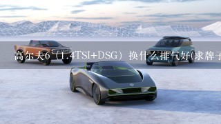 高尔夫6（1.4TSI+DSG）换什么排气好(求牌子)~个人喜欢M鼓