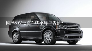 国产SuV7座车哪个牌子省油？