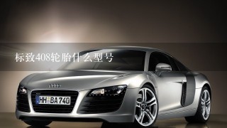 标致408轮胎什么型号