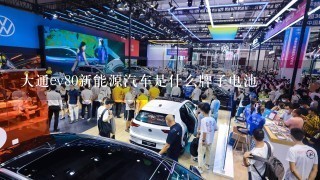 大通ev80新能源汽车是什么牌子电池