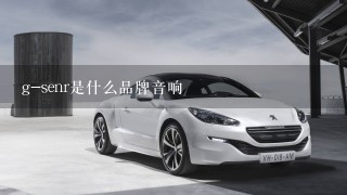 g-senr是什么品牌音响