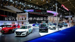 长安汽车自主品牌产销量位居中国第1，世界第十。()