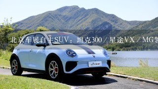 北京车展自主SUV：坦克300／星途VX／MG领航款款硬核