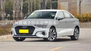 广汽传祺属于什么品牌的车