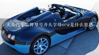 大众汽车品牌型号开头字母svw是什么意思