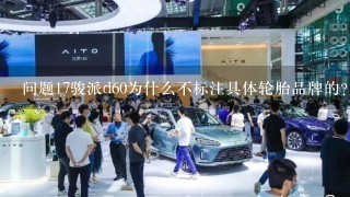 问题17骏派d60为什么不标注具体轮胎品牌的