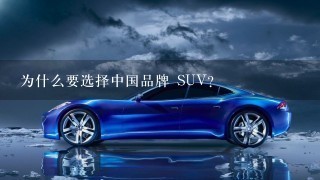 为什么要选择中国品牌 SUV?